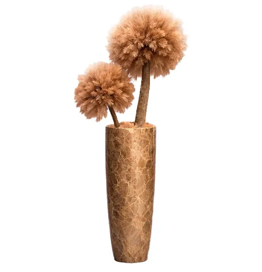 Dubbele bruine pampa in bruine pot