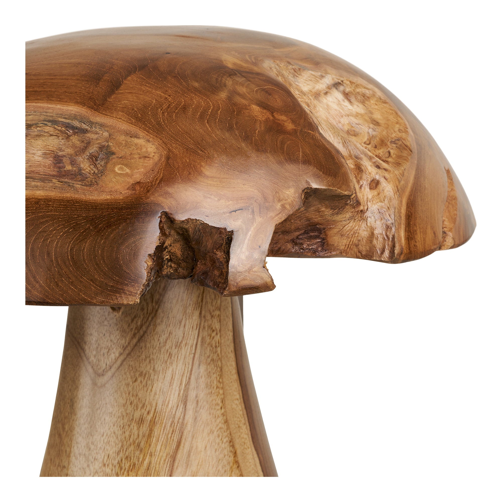 Kodi Decoratieve paddenstoelen, teak, naturel, set van 2