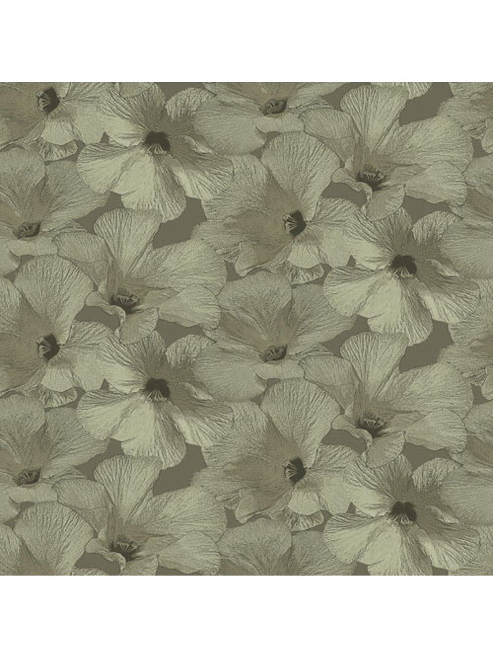 Behang Annuell Hibiscus zand