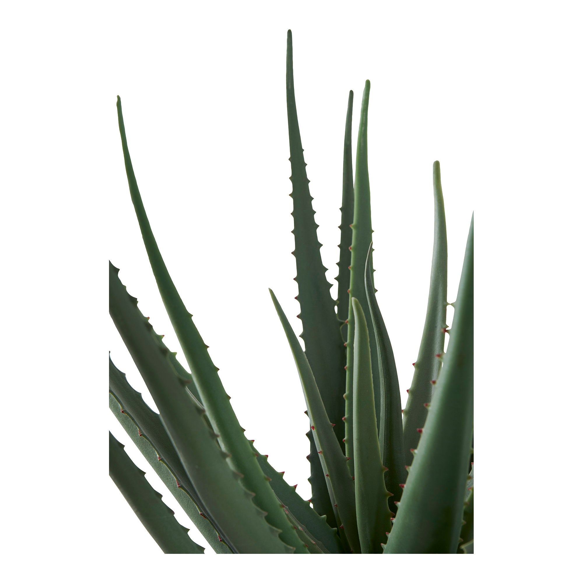 Aloe Vera kunstplant - 51 cm