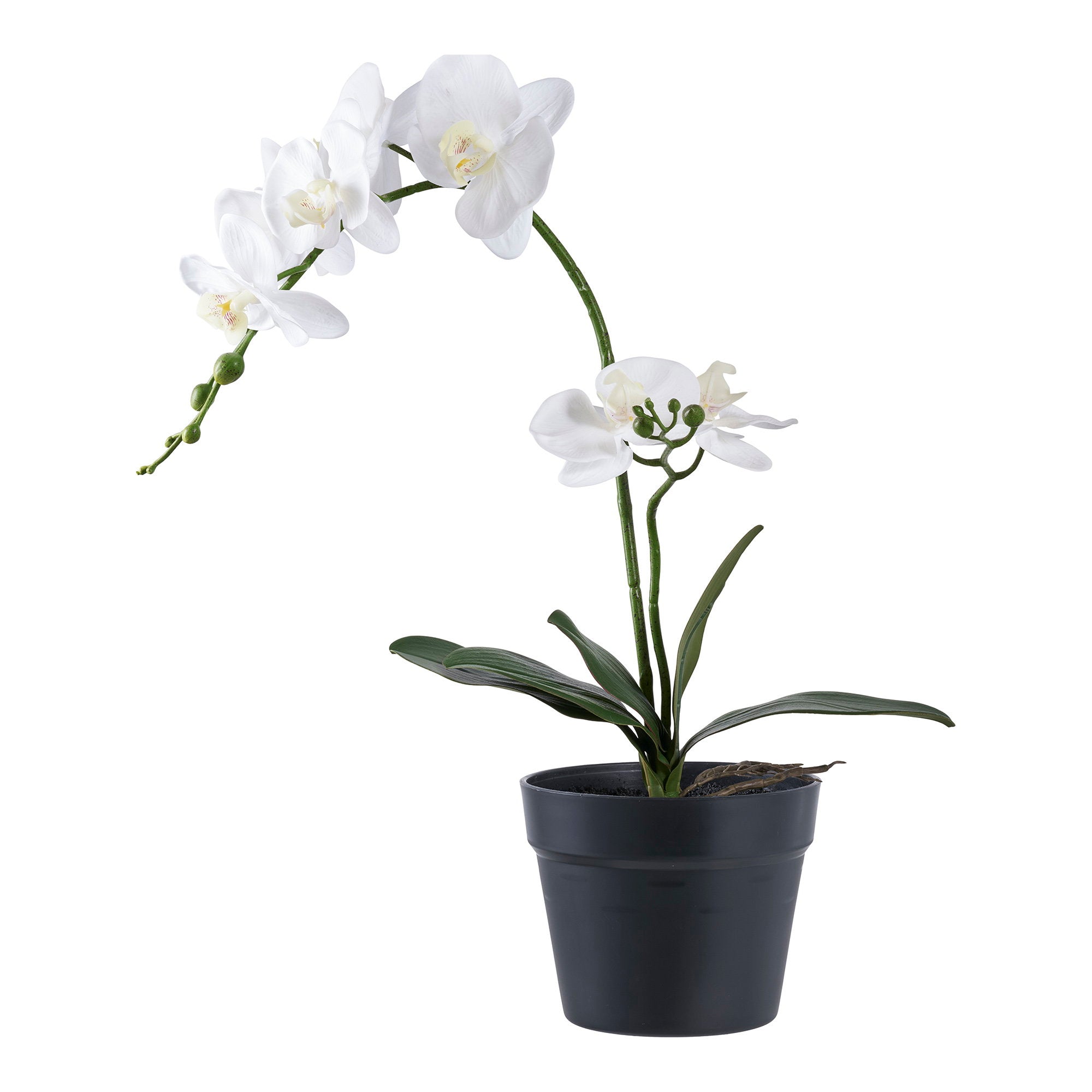 Orchid kunstplant - 49 cm