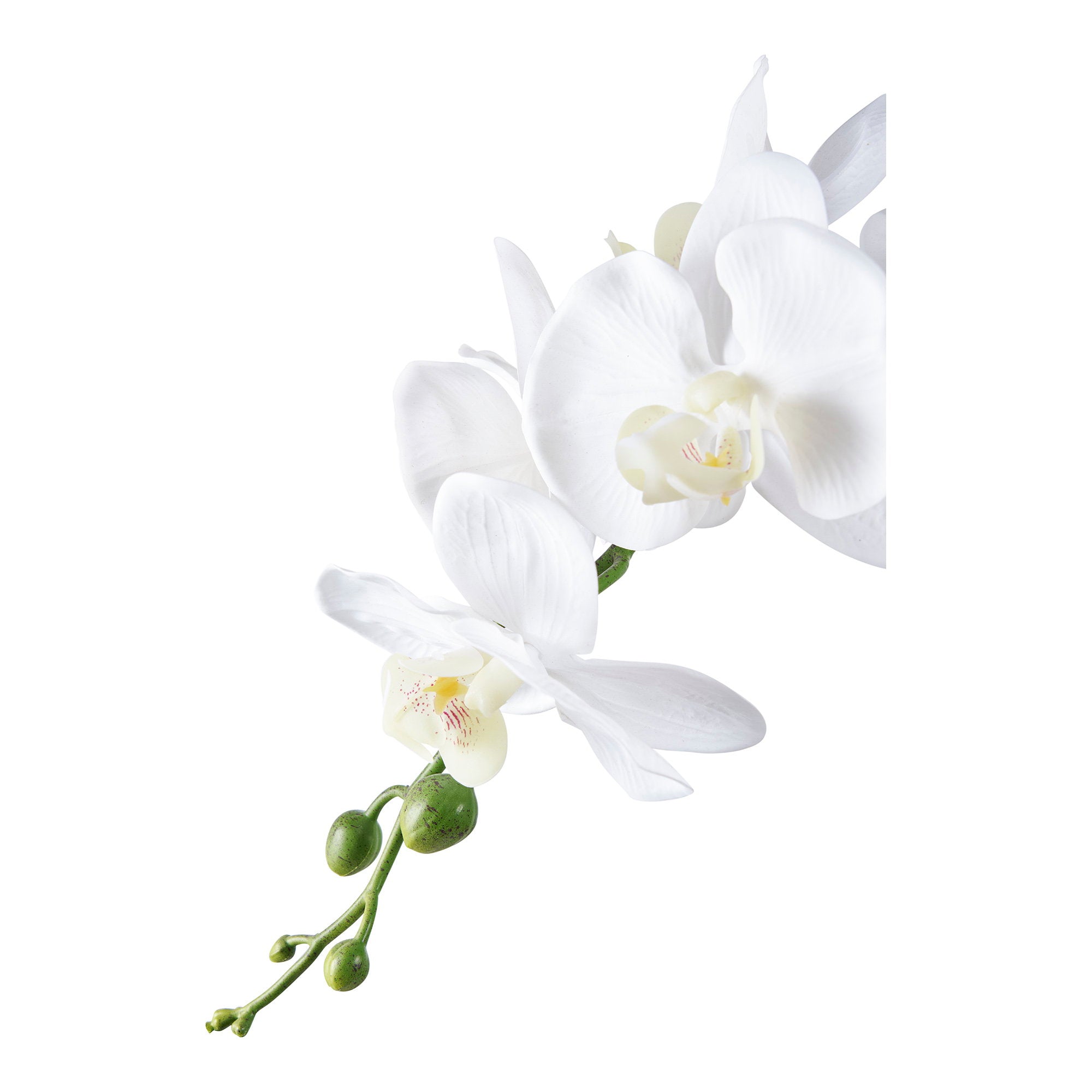 Orchid kunstplant - 49 cm