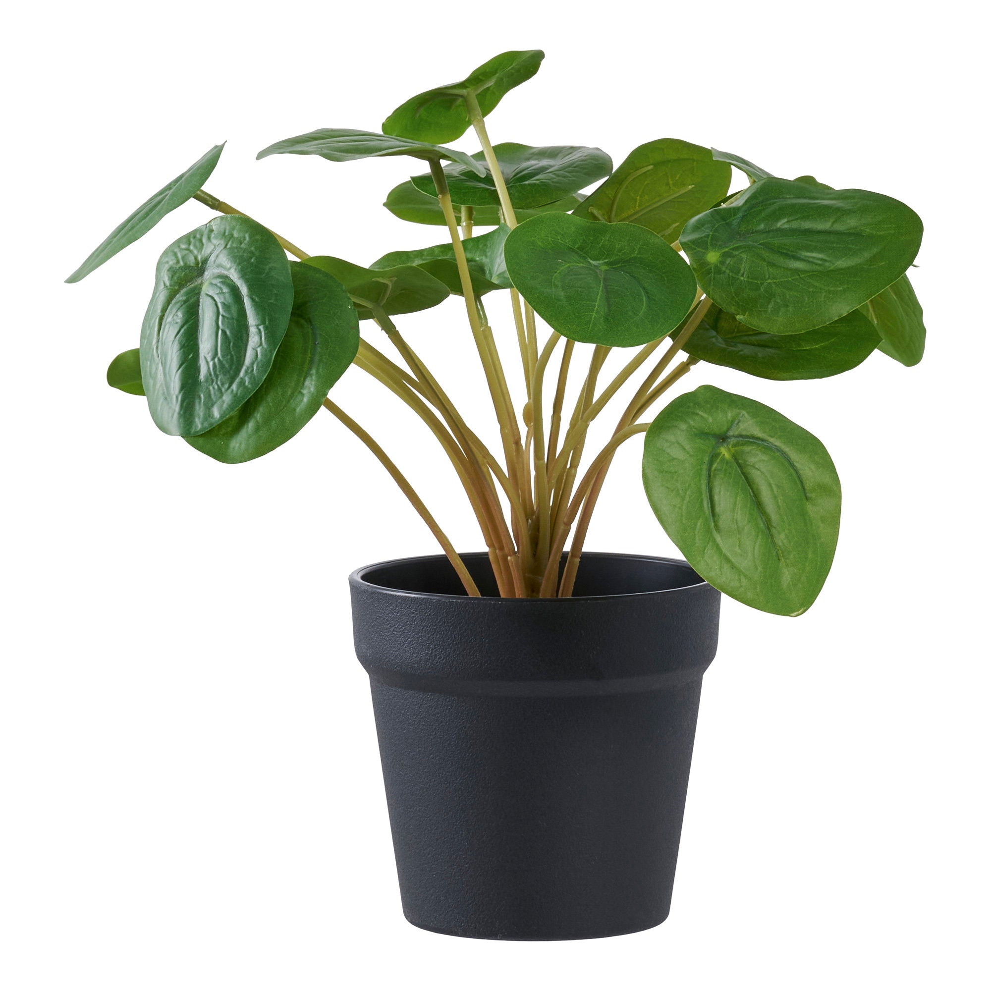 Pelia kunstplant - 28 cm