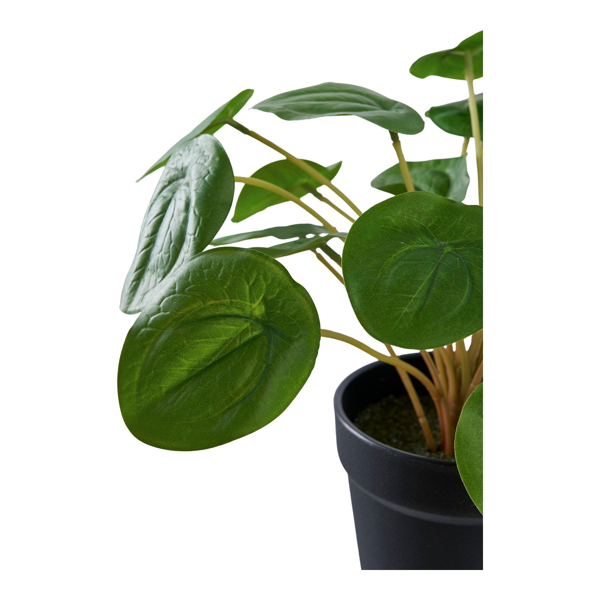 Pelia kunstplant - 28 cm