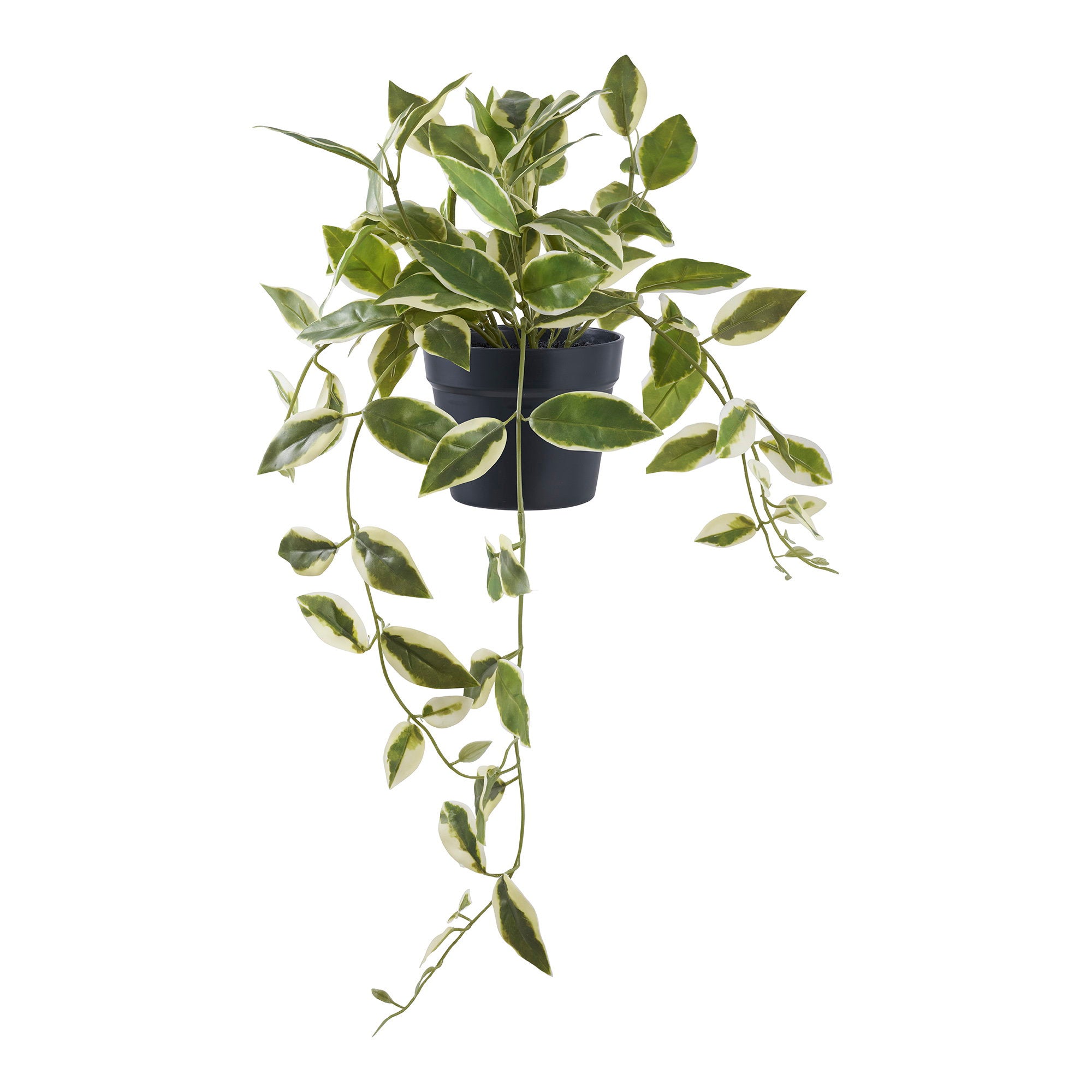 Hoya Carnosa kunst - 33 cm