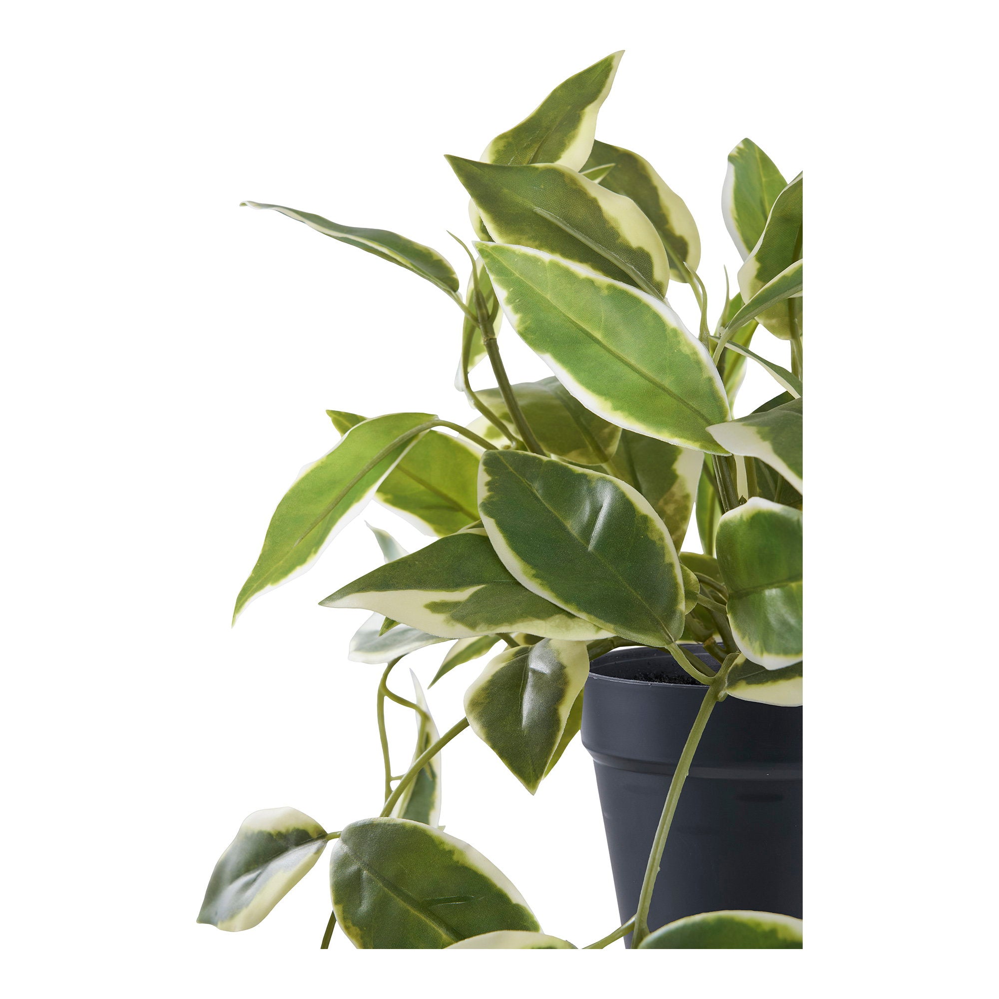 Hoya Carnosa kunst - 33 cm