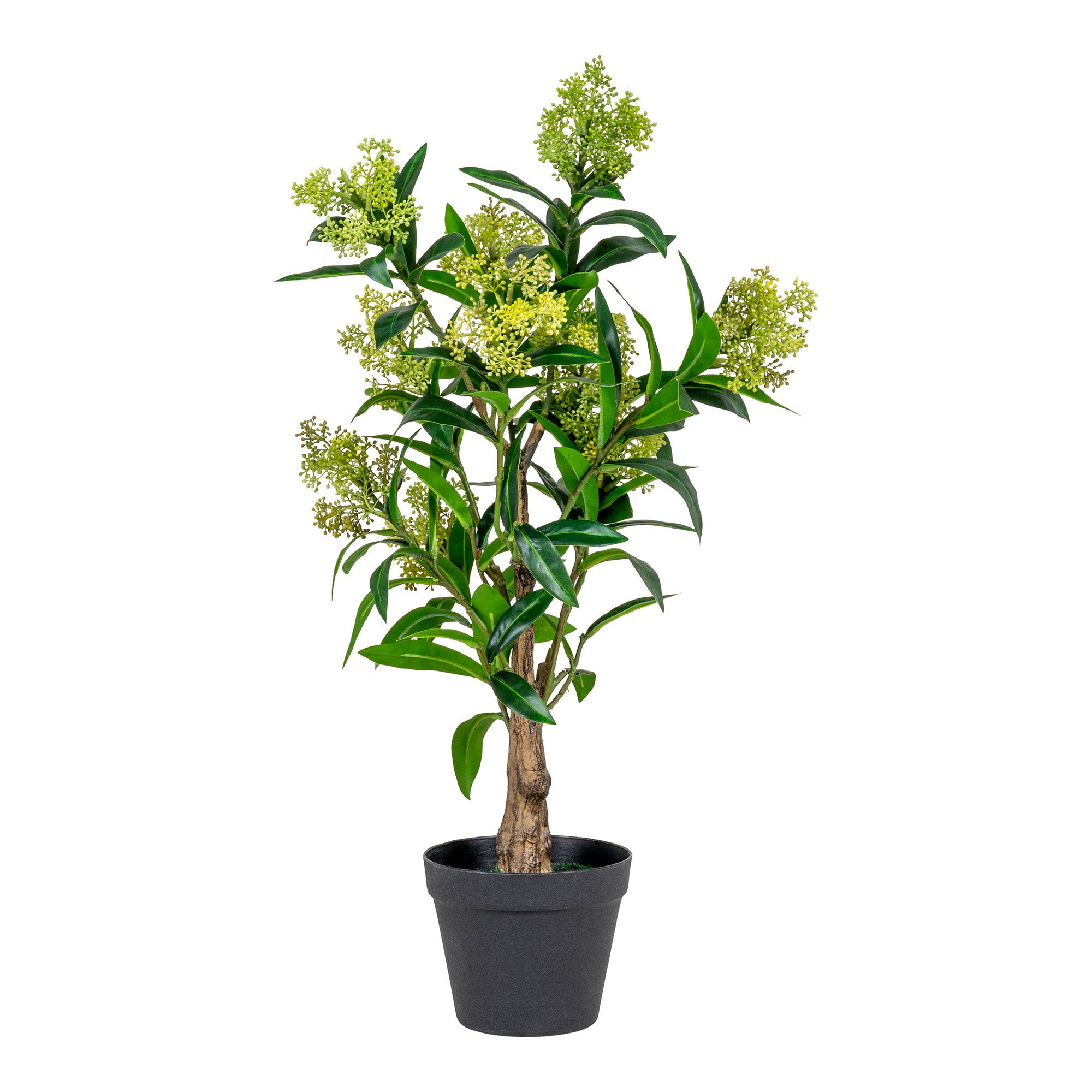 Skimmia kunstboompje - 75 cm