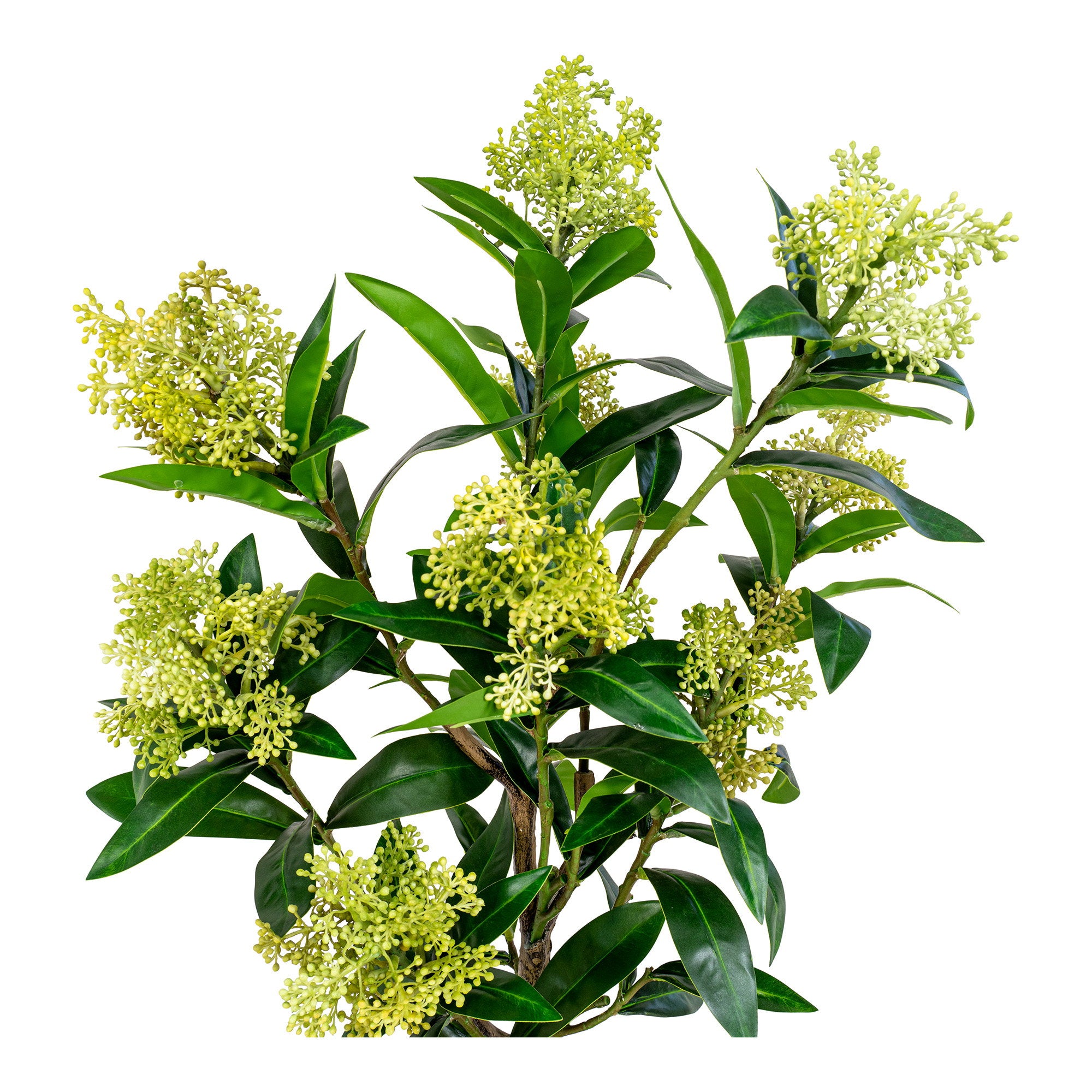 Skimmia kunstboompje - 75 cm