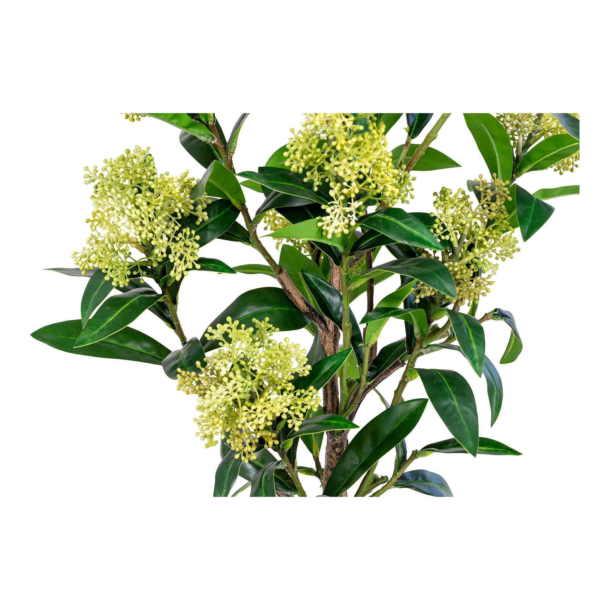 Skimmia kunstboompje - 75 cm