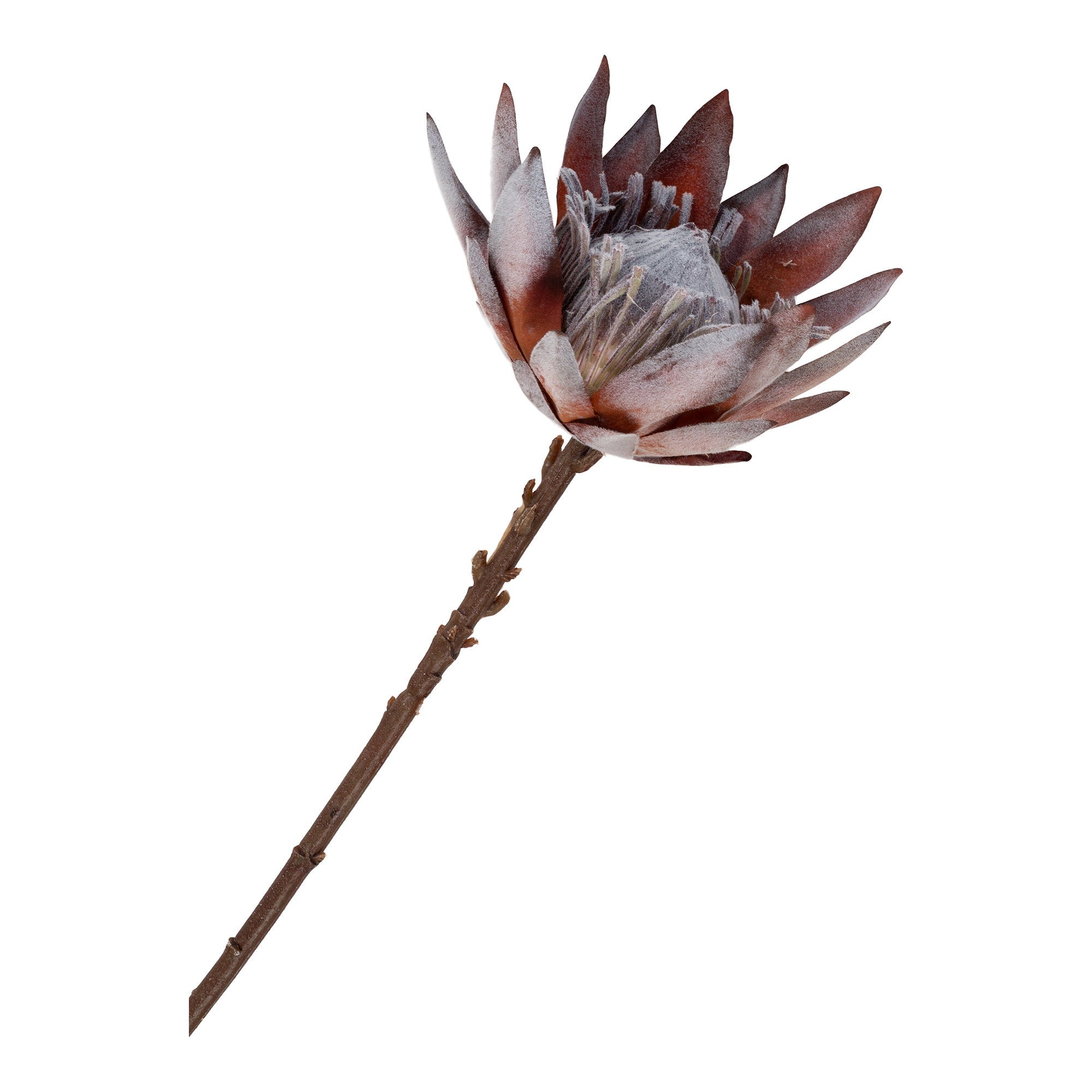 King Protea kunstboeket rozen mix - 74 cm